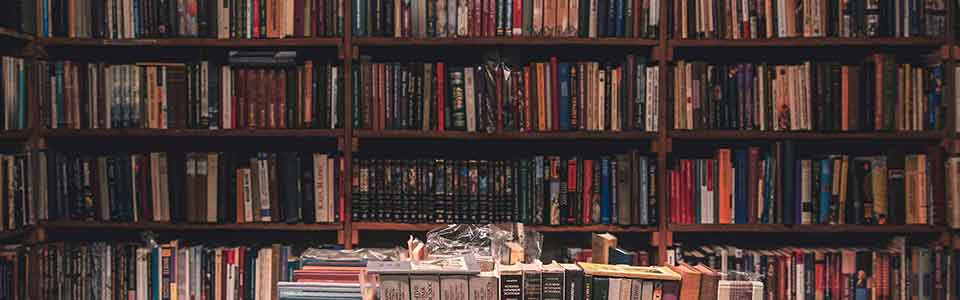 起名，就是用你的姓氏组词造句——就是用你的姓氏写一篇独一无二的文章！——卢温白